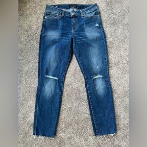 Worn once - Lucky Brand Lolita Skinny Jean (ankle) - Size 8/29